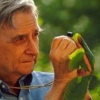 e.o. wilson biodiversity foundation logo image