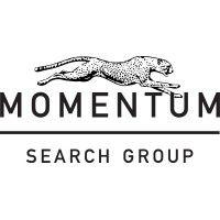 momentum search group, llc