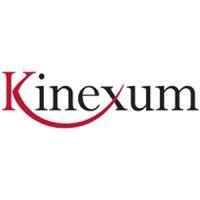 kinexum services llc