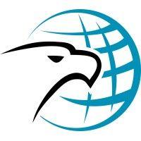 eagle mapping logo image