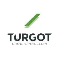 turgot asset management logo image