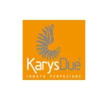 karys due logo image