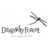 dragonfly forest logo image