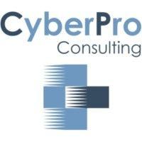 cyberpro consulting (pty) ltd logo image