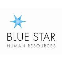 blue star human resources ltd logo image