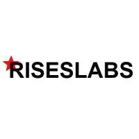 riseslabs it solution pvt ltd logo image