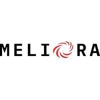 meliora therapeutics logo image