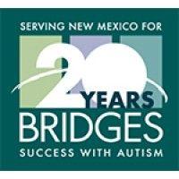 bridges logo image