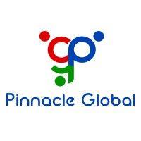 pinnacle global group logo image