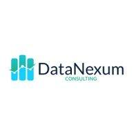 datanexum consulting logo image