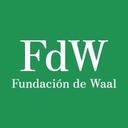 logo of Fundacion De Waal De Waal Foundation Stichting De Waal