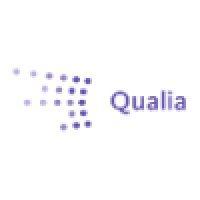 qualia executive search logo image