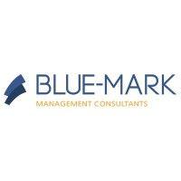 blue-mark management consultants logo image