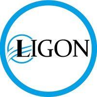 the ligon group logo image