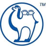 camel energy inc logo image