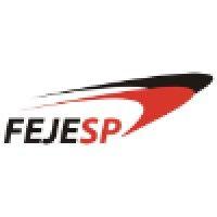 fejesp logo image