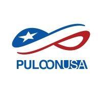 puloon usa logo image