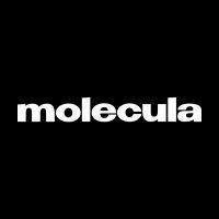 molecula agency logo image