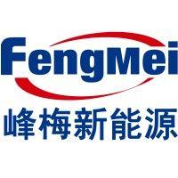 ningbo fengmei new energy automotive technology co., ltd.