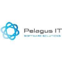 pelagus it d.o.o. logo image