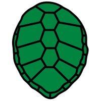 turtle creek investment advisors logo image