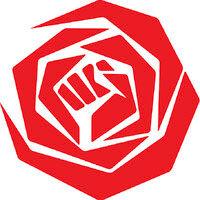 pvda logo image