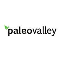 paleovalley logo image