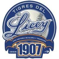 club atletico licey, inc logo image