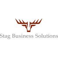 stag business solutions ltd logo image