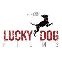 lucky dog films