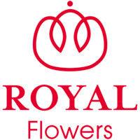 royal flowers group logo image