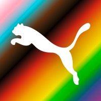 puma group logo image