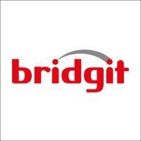 bridgit group logo image