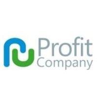 profit company logo image