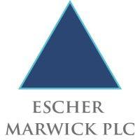 escher marwick plc logo image