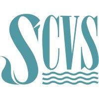 swansea council for voluntary service (swanseacvs) logo image