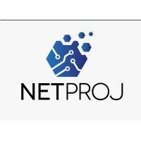 netproj consulting logo image