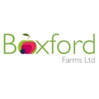 boxford farms limited logo image