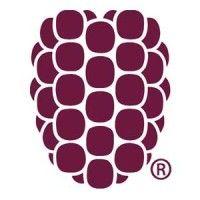 dewberry logo image