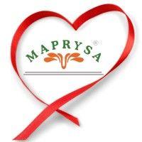 maprysa logo image