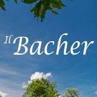 il bacher logo image