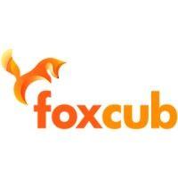 fox cub games