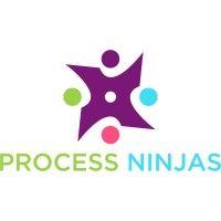 process ninjas logo image