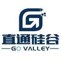 直通硅谷（govalley） logo image