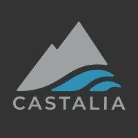 castalia communications corp. logo image