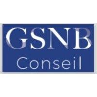 gsnb conseil - single family office logo image