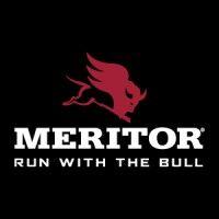 meritor logo image