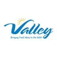 valley services, inc. logo image