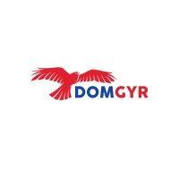 domgyr services logo image