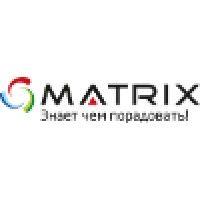 donbass electronic communications  (matrix tm) logo image